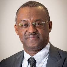 NLNG business model should be replicated in power, others –Sadeeq Mai-Bornu, NLNG DMD