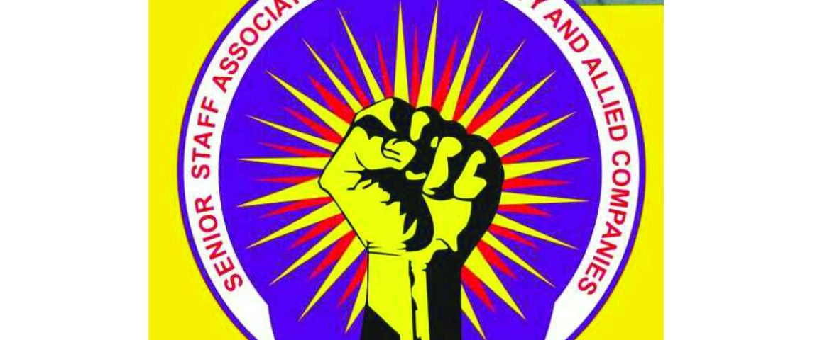 SSAEAC accuses TCN boss of abuse of power, nepotism