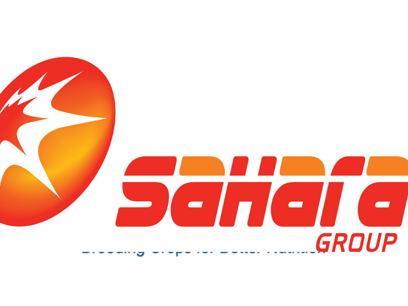 Sahara Power Group advocates energy sector growth