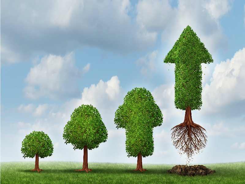 New private equity fund to invest in sustainable energy in Nigeria