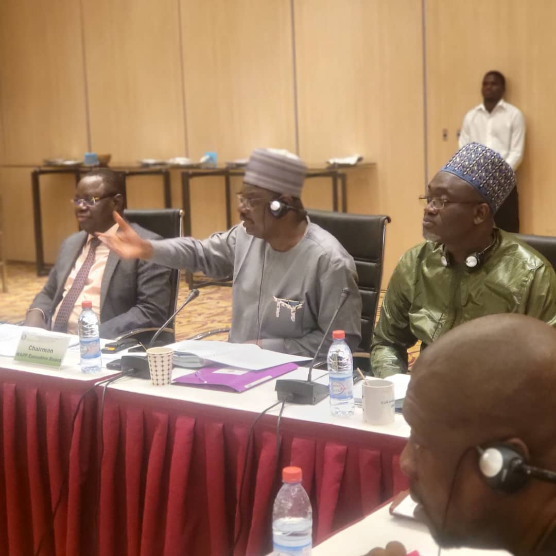 WAPP set to launch liquidity enhancement fund as chairman lauds financial transparency