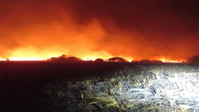 Climate resilience: Towards making African nations disaster-free