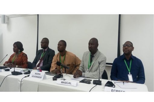 ECOWAS targets production of 0.5 million tonnes of green hydrogen by 2030