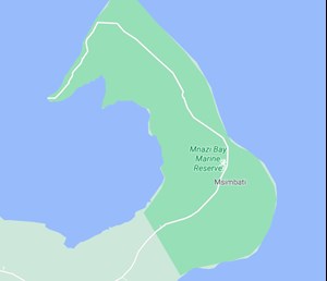 Nigeria’s leading E&P Company sets sights on gas exploration in Tanzania