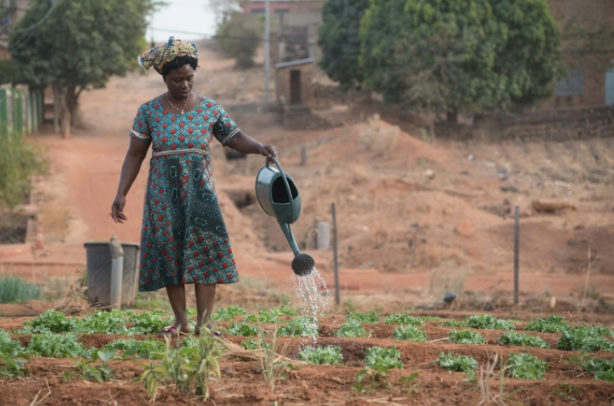 Lancet Countdown Africa publishes major climate-health report