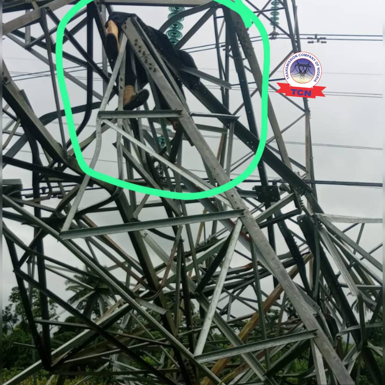 Vandal crushed to death as TCN Tower collapses on 330kV Ughelli-Benin Transmission Line