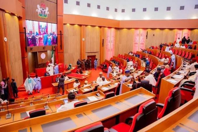Senate gives NNPCL, CBN, NDDC, NUPRC 72-hour ultimatum over audit query snub