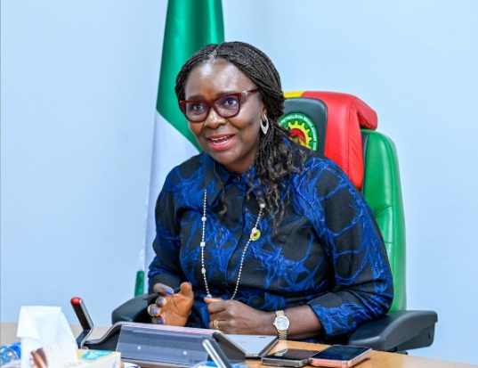 Nigeria unveils 2030–2060 'Energy Evolution' roadmap at OTC 2026, seeks global investment