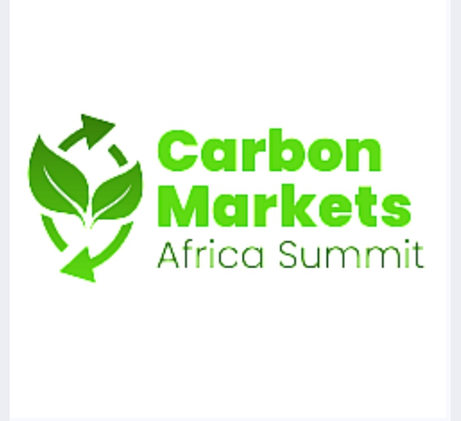 Africa’s carbon markets gain momentum as climate finance opportunities expand