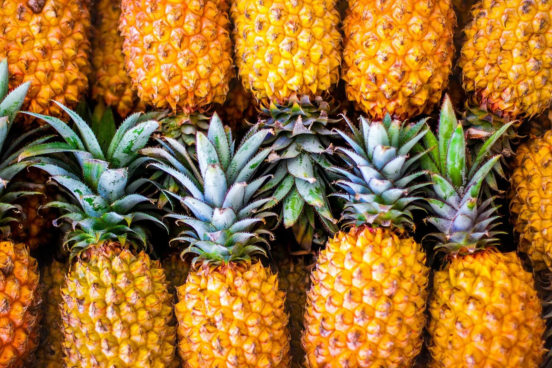 From rotten pineapples to human waste: The strange things Lagos is turning into energy