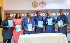 Lagos sets the pace as Nigeria’s power sector shifts to state-led solutions