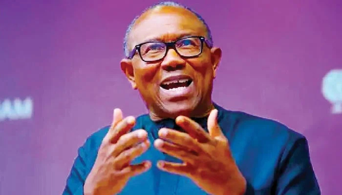 Peter Obi questions fresh ₦3.3tn power sector payment, demands transparency