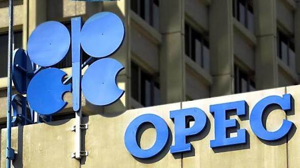 OPEC puts Africa’s refining investment need at $125 billion through 2050