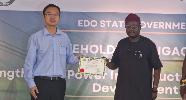 Edo secures 100MW power boost with new IPP deal