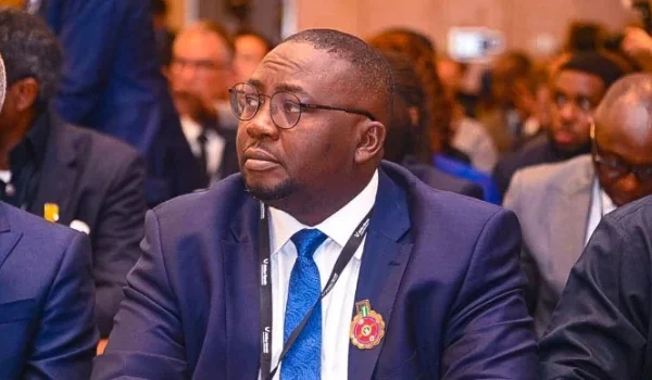 Nigeria needs $10bn annually in 20 years for stable electricity supply, says Adelabu