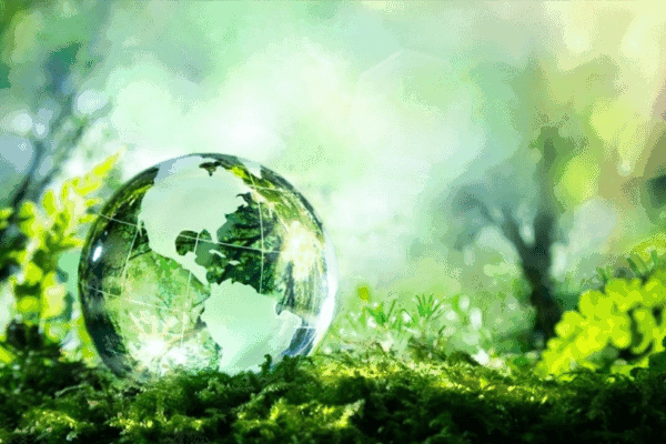 Green Energy unveils Nigeria’s first $400M indigenous crude export terminal Green Energy